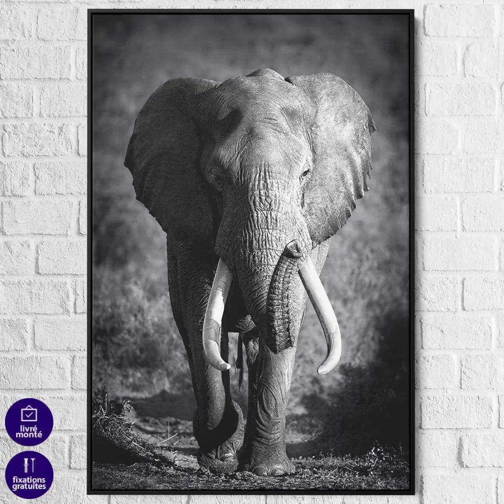Tableau Éléphant Noir et Blanc Le Grand Male - Montableaudeco