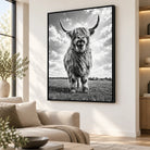 Portrait de vache écossaise avec cadre flottant noir sur mur blanc