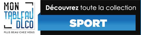 Tableau Sport La Collection