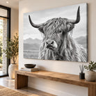 Tableau Vache Highland noir et blanc avec grandes cornes et pelage épais sur fond brumeux