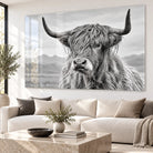 Tableau Vache Highland sur Plexiglas brillant avec léger reflet dans un salon moderne