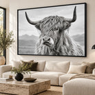 Tableau Vache Écossaise noir et blanc avec cadre flottant noir 