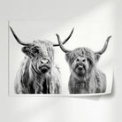 Poster Vaches Highland Noir et Blanc
