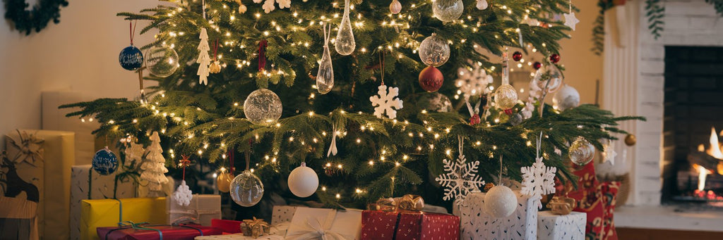 Quel Idée cadeau pour Noël en 2024 ?