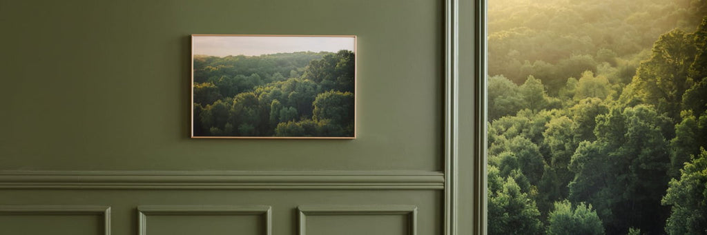 L'assortiment de couleurs aux murs