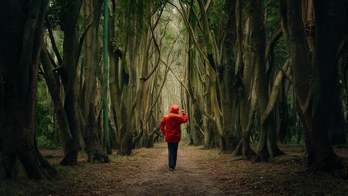 une personne portant une veste à capuche rouge vif marche sur un chemin de forêt étroit bordé d’arbres tordus dans un article intitulé idées de décoration murale originales et personnalisées.