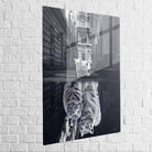 Tableau Chat Noir et blanc Le Tigre - Montableaudeco