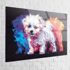 Tableau Chien | Le Bichon Pop | Offre De Bienvenue -20% c