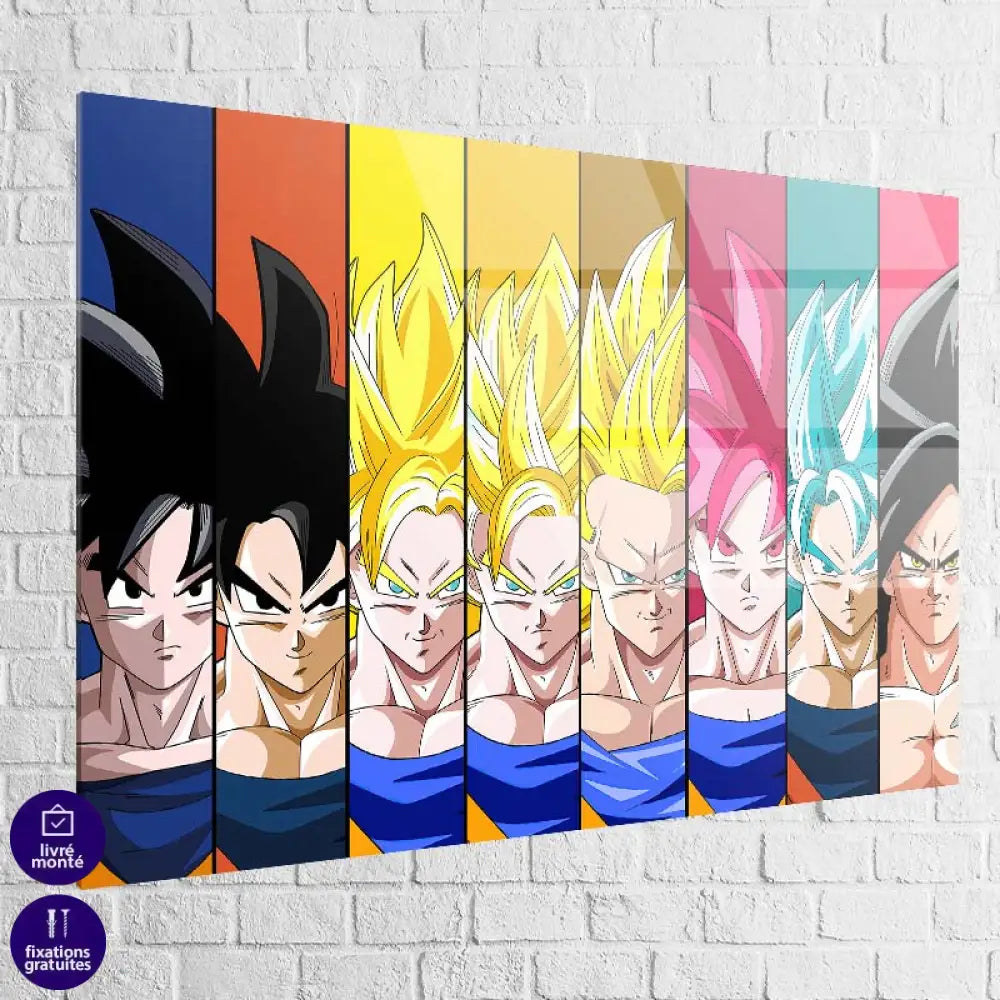 Tableau Dragon Ball Multi Plexiglas