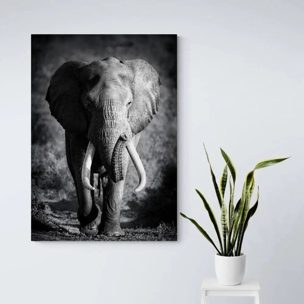 Sort og hvid elefant maleri | Billig indretning – Montableaudeco, image size:1000x1000