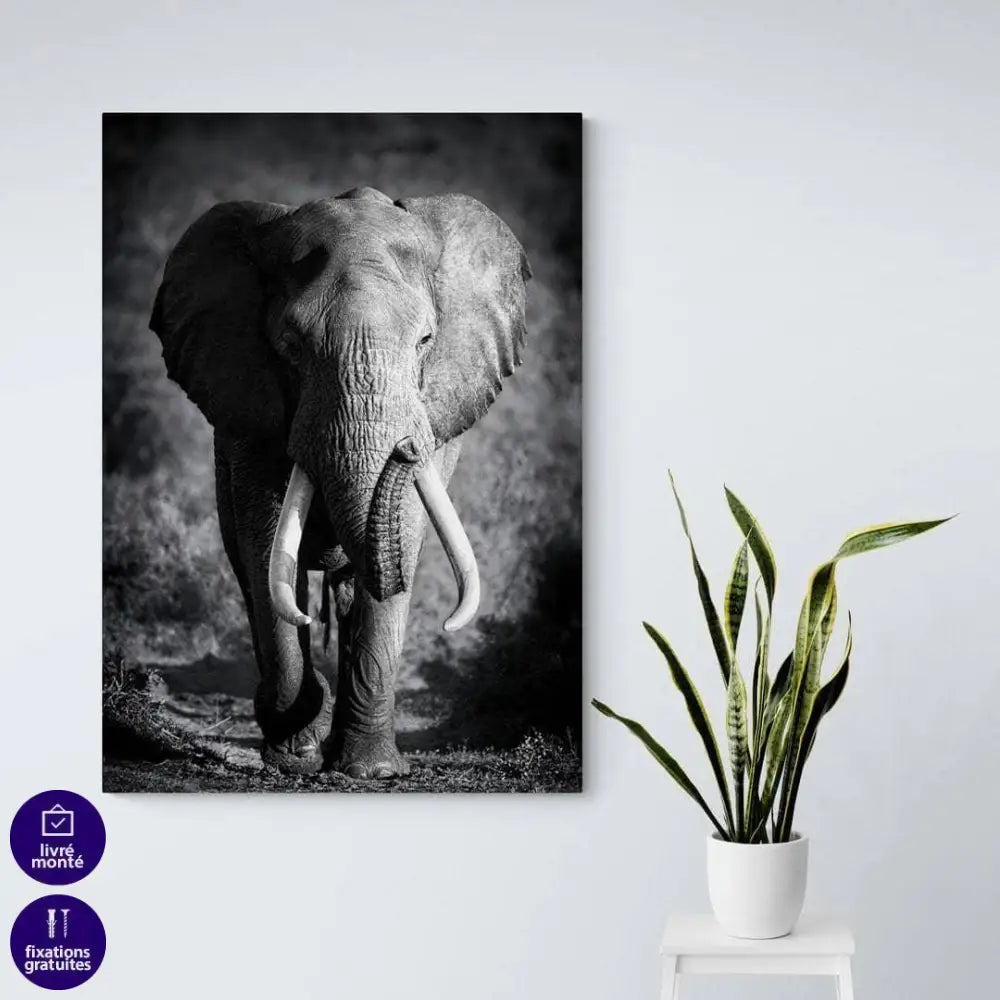 Tableau Éléphant Noir et Blanc Le Grand Male - Montableaudeco
