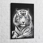 Tableau Tigre Blanc Yeux Bleus - Montableaudeco