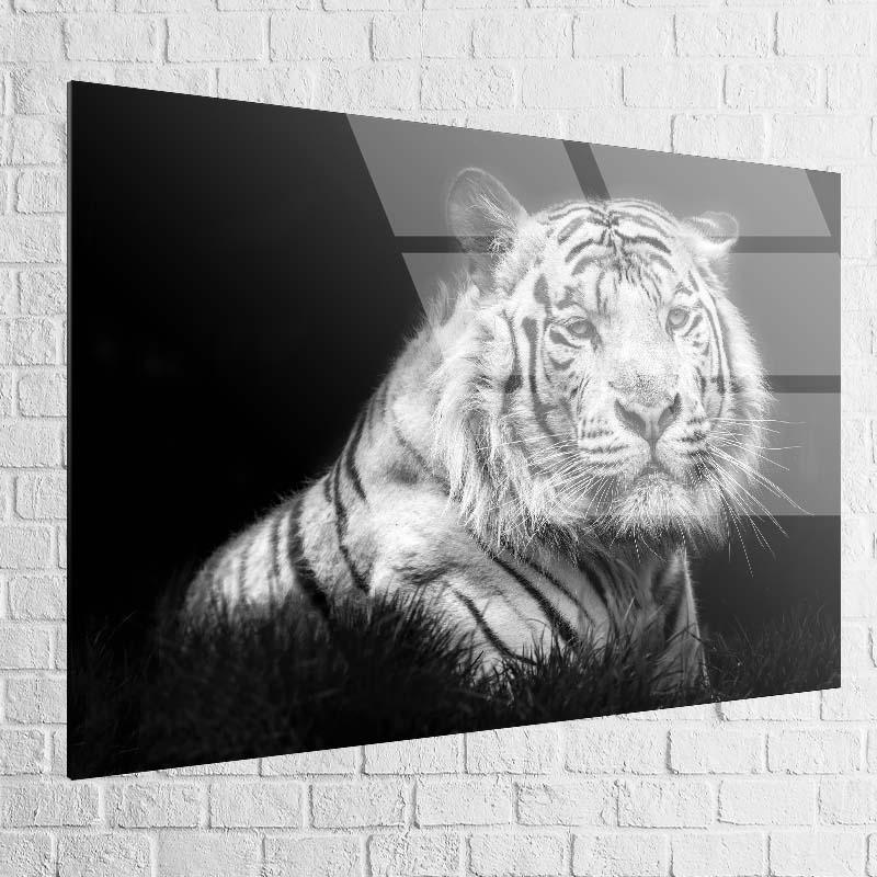 Tableau Tigre noir et blanc - Montableaudeco