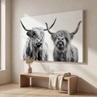 Toile Vaches Highland Noir et Blanc, impression sur châssis tendu pour salon ou chambre