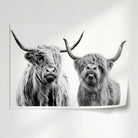 Poster Vaches Highland Noir et Blanc