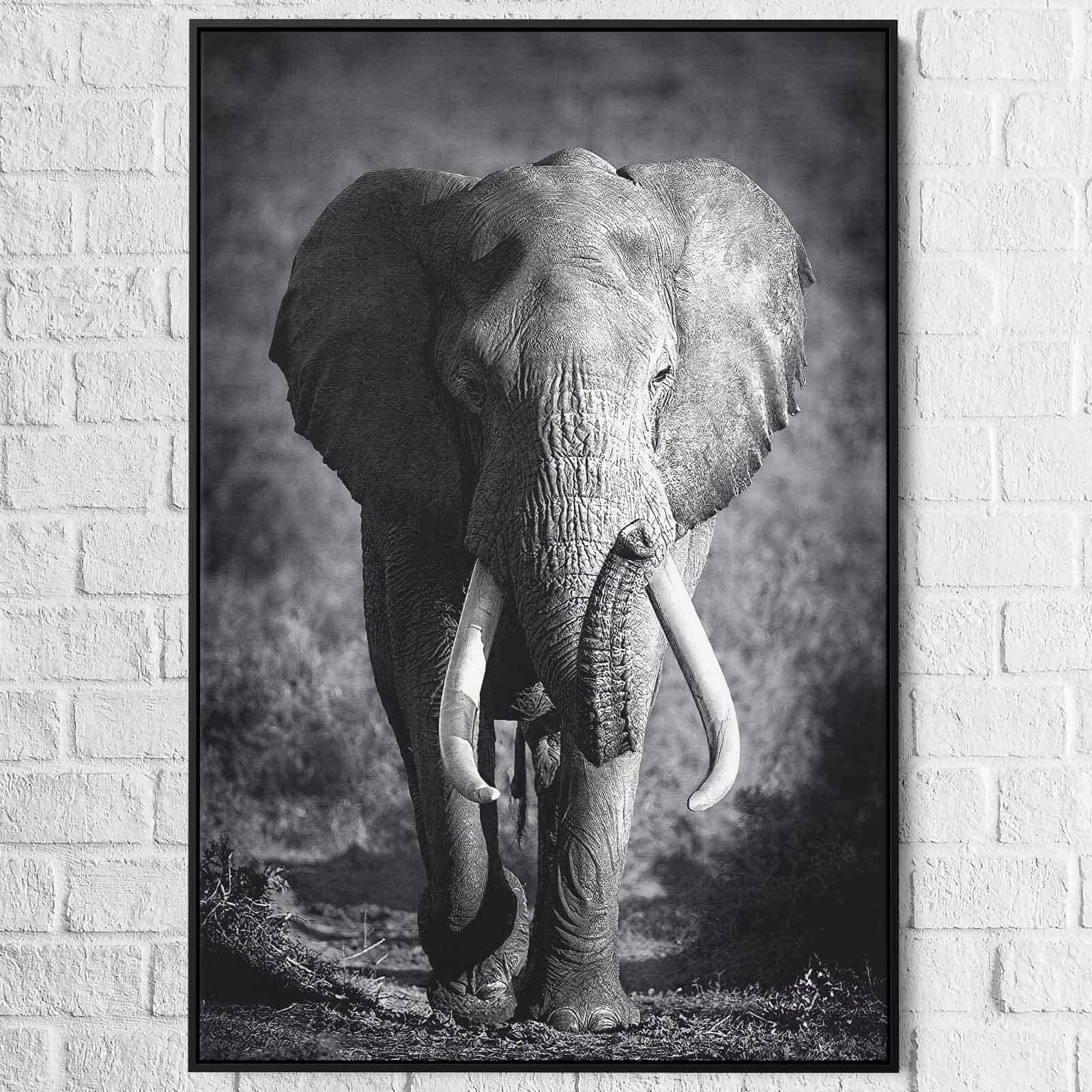 Tableau Éléphant Noir et Blanc Le Grand Male - Montableaudeco