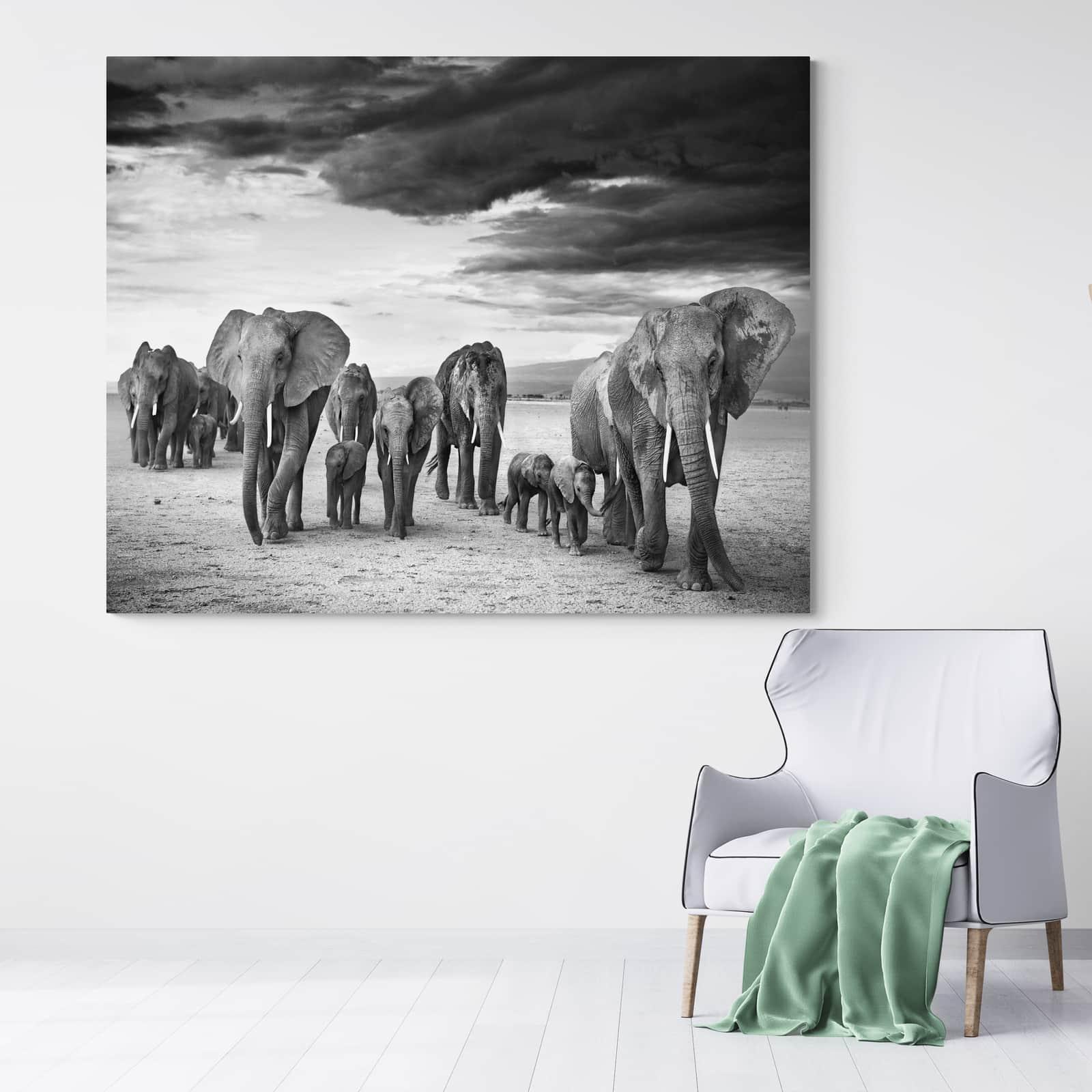 Tableau Eléphant Noir et Blanc Le troupeau - Montableaudeco