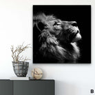 Tableau Lion Noir et Blanc Ensemble 3 Pièces - Montableaudeco