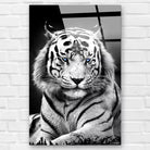 Tableau Tigre Blanc Yeux Bleus - Montableaudeco