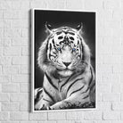 Tableau Tigre Blanc Yeux Bleus - Montableaudeco