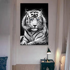 Tableau Tigre Blanc Yeux Bleus - Montableaudeco