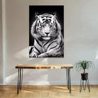 Tableau Tigre Blanc Yeux Bleus - Montableaudeco